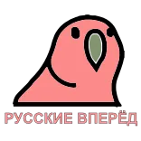 🇷🇺 РУССКИЕ ВПЕРЁД นกแก้ว, นก, รัสเซีย, ข้อความ, ซิริลลิก telegram sticker
