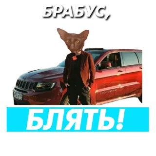 🐱 БРАБУС, БЛЯТЬ! brabus, auto, russisch, obszön, beleidigend whatsapp sticker