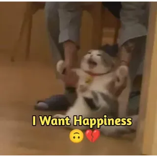☺️ I Want Happiness chat, triste, joie, brisé, émotionnel, mème telegram sticker