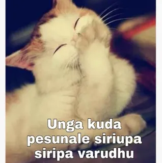 😂 Unga kuda pesunale siriupa siripa varudhu gato, engraçado, texto, meme, animal telegram sticker