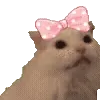 🎀
