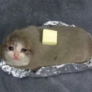 😢 kot, pieczony ziemniak, masło, smutny, zwierzę, mem telegram sticker