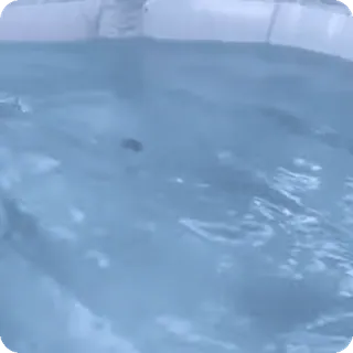 🪷 agua, piscina, azul, nadar, refrescante whatsapp sticker