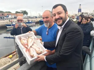 🐠 politico, pesce, frutti di mare, politico, salvini telegram sticker