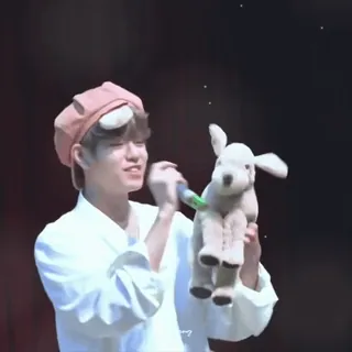 ⭐ persona, sorriso, peluche, giocattolo, peluche, cappello whatsapp sticker