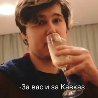 🍷 За вас и за Кавказ 敬酒, 高加索, 饮酒, 庆祝, 干杯 telegram sticker