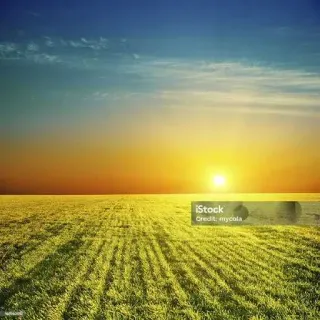 😒 iStock landscape, sunset, field, nature, sun, grass, meadow, horizon telegram sticker