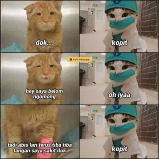 🦠 dok...
kopit
hey saya belom
ngomong
oh iyaa
tadi abis lari terus tiba tiba
tangan saya sakit dok
kopit gato, médico, engraçado, meme, animal, animal de estimação, diálogo telegram sticker