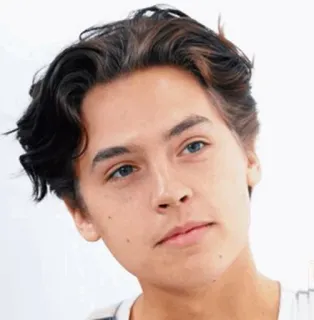 💸 Cole Sprouse actor, celebrity, man, portrait, face telegram sticker