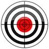 🎯