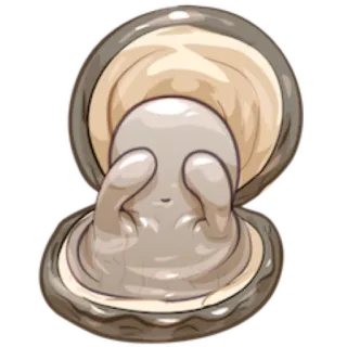 🙈 coquillage, perle, huître, mer, océan, coque telegram sticker