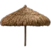🥥