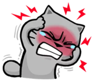 😩 wütend, verärgert, frustriert, Katze, Cartoon, Emotion, Kopfschmerzen whatsapp sticker
