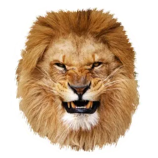 🤬 лев, животное, дикая природа, лицо, портрет, кошачий telegram sticker