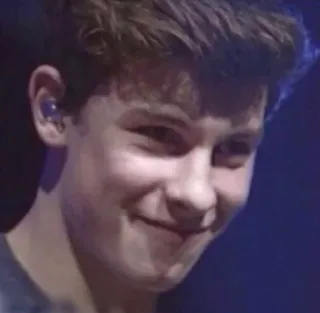 😊 Shawn Mendes celebrity, singer, musician, portrait telegram sticker