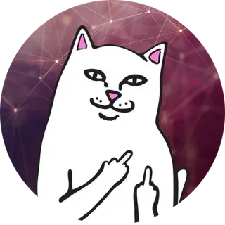 😼 Ripndip Cat แมว, นิ้วกลาง, หยาบคาย, ไม่สุภาพ, สติกเกอร์, Ripndip telegram sticker