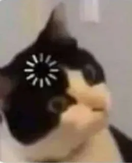 🤔 gatto, caricamento, errore, internet telegram sticker