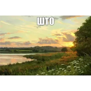 ❓ ШТО sunset, landscape, lake, nature, flowers, peaceful, scenery whatsapp sticker