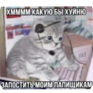 🐱 ХММММ КАКУЮ БЫ ХУЙНЮ ЗАПОСТИТЬ МОИМ ПАПИЩИКАМ kucing, menyinggung, meme, rusia, meme internet telegram sticker