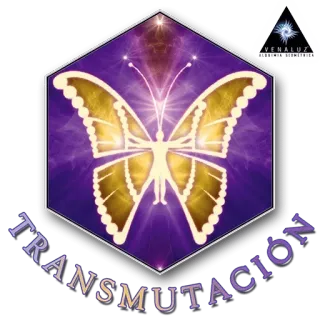 🙏 TRANSMUTACIÓN 蝴蝶, 炼金术, 蜕变, 精神, 转化 telegram sticker