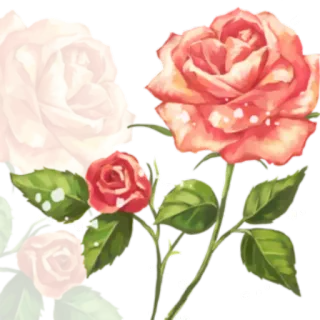 🌺 ดอกไม้, ดอกกุหลาบ, ลายดอกไม้, ธรรมชาติ, เบ่งบาน telegram sticker