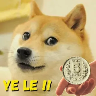 🪙 Doge YE LE !! Meme, Doge, Rupia, Moneda, Moneda india, Perro telegram sticker