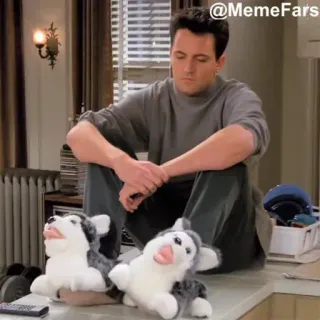 😕 Chandler Bing Friends @MemeFars รายการทีวี, นั่ง, สุนัข, ภายใน, ตุ๊กตา telegram sticker
