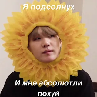 🌻 Я подсолнух
И мне абсолютли похуй girasol, gracioso, meme telegram sticker