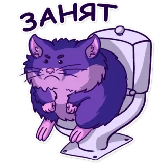 😠 ЗАНЯТ 猫, 厕所, 占用, 可爱, 贴纸, 卡通 telegram sticker