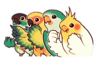 😀 pássaros, papagaios, fofo, animais telegram sticker