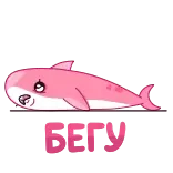 😩 Bitch! Kartun, Merah muda, Kata kasar, Paus, Lucu whatsapp sticker