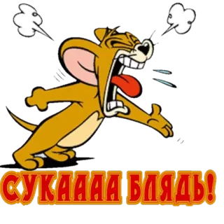 😡 Jerry Tom and Jerry СУКАААА БЛЯДЬ! cartoon, woede, boos, beledigende taal, scheldwoord, Jerry, Tom en Jerry telegram sticker