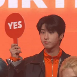 ✅ YES 是, 肯定, 同意, 积极, 批准 whatsapp sticker