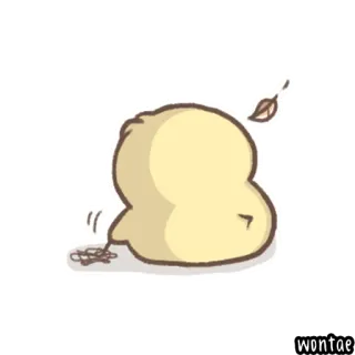🐤 wontae mignon, oiseau, poussin, animal, dessin animé telegram sticker