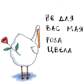 🌺 НЕ ДЛЯ ВАС МАЯ РОЗА ЦВЕЛА 황새, 새, 장미, 꽃, 러시아어, 텍스트 telegram sticker