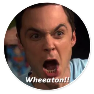 😠 Sheldon Cooper The Big Bang Theory Wheaton!! Sheldon Cooper, The Big Bang Theory, Wheaton, Gritando, Ira, Serie TV, Comedia whatsapp sticker