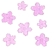 🌸