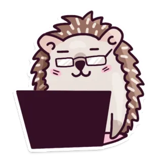 🤓 เม่น, คอมพิวเตอร์, แล็ปท็อป, แว่นตา, สัตว์, น่ารัก, การ์ตูน telegram sticker