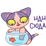 🐠