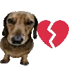 🐕