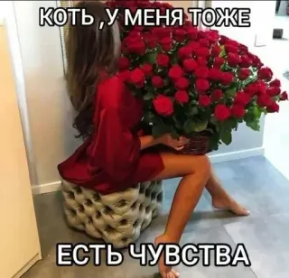 🌟 КОТЬ , У МЕНЯ ТОЖЕ
ЕСТЬ ЧУВСТВА ดอกไม้, กุหลาบ, ผู้หญิง, สีแดง, ความรัก, ความรู้สึก, ของขวัญ telegram sticker