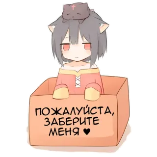 📦 ПОЖАЛУЙСТА,
ЗАБЕРИТЕ
МЕНЯ❤ cat, anime, box, please, take me telegram sticker