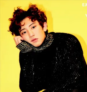 😪 Park Chanyeol kpop, exo, chanyeol, singer, music, idol, artist telegram sticker