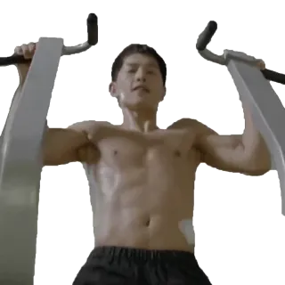 💪 kebugaran, latihan, olahraga, gym, atlet, pull-up, tubuh bagian atas, otot whatsapp sticker