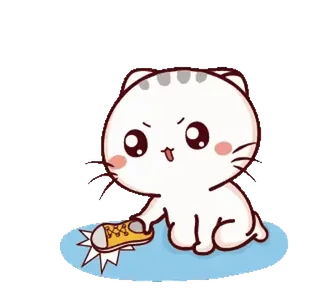 👟 gato, fofo, desenho animado, animal, brincalhão, kawaii whatsapp sticker