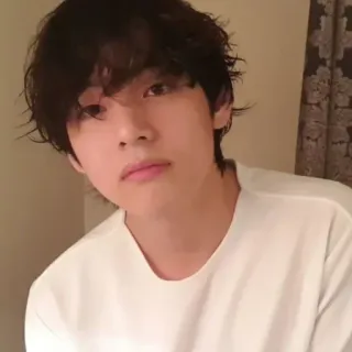 🧸 V K-pop, chanteur, célébrité, personne, homme, portrait telegram sticker