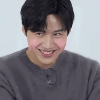 😅 souriant, homme, fossettes, pull, coréen telegram sticker