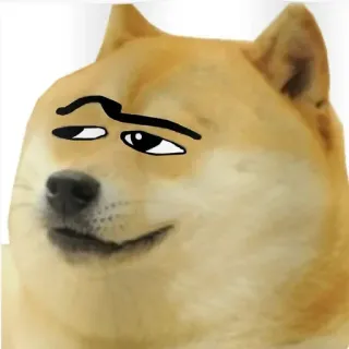 🐕 Doge doge, meme, perro, presumido whatsapp sticker