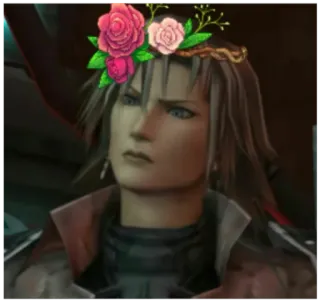 💐 Seifer Almasy Final Fantasy VIII 赛法·阿尔马西, 最终幻想VIII, 电子游戏, 动漫, 花, 皇冠 telegram sticker