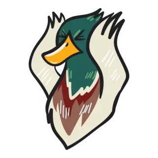 😕 pato, animal, dibujo animado, pegatina, pájaro whatsapp sticker